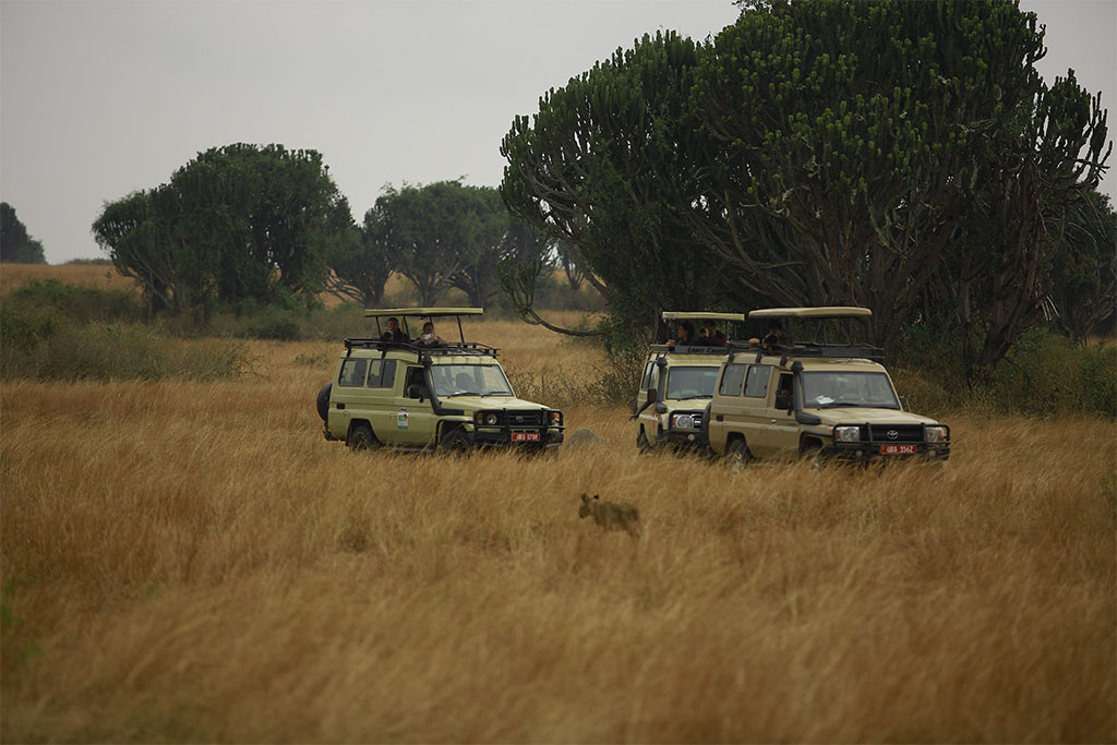 Wilderness Little Kulala